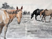 Three horses